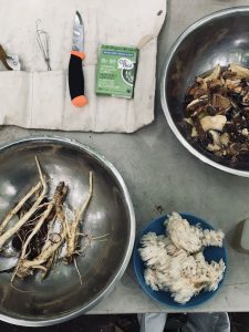 Fall harvests